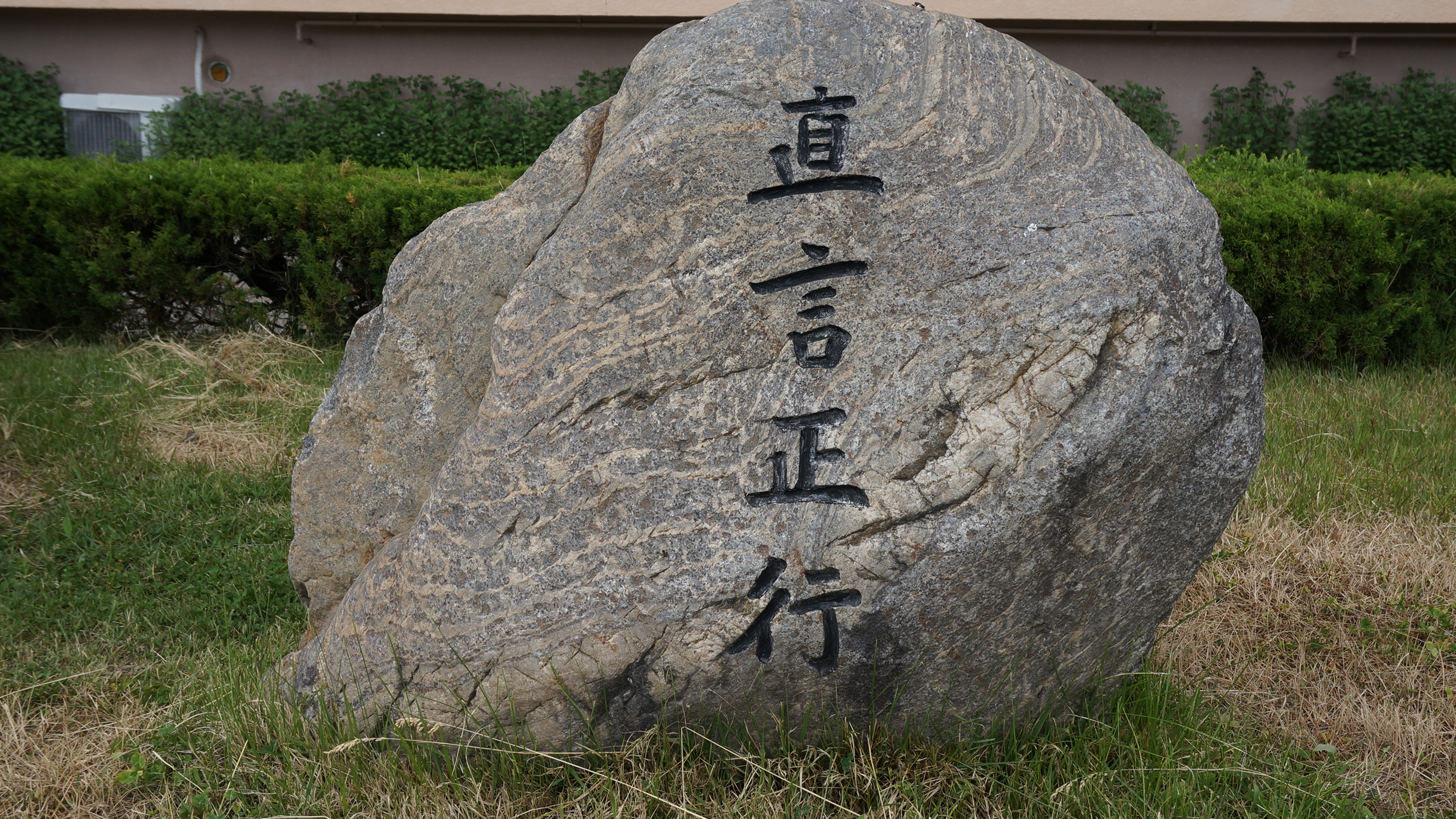 DSC02963.JPG
